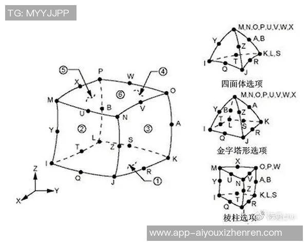 2026年3月份新闻杭州排球队中路突破的优势与不足分析探讨